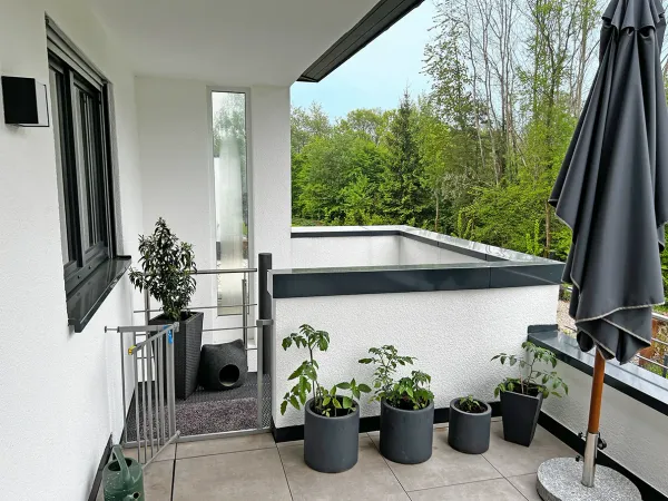 Dachterrasse mit Pflanzen und Sonnenschirm
